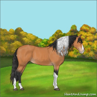 Horse Color:Bay Splash Tobiano 