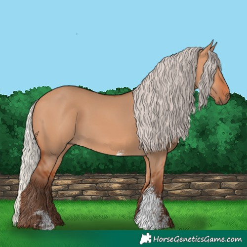 Horse Color:Silver Bay Dun Sabino Rabicano 