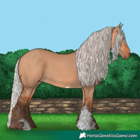 Horse Color:Silver Bay Dun Sabino Rabicano