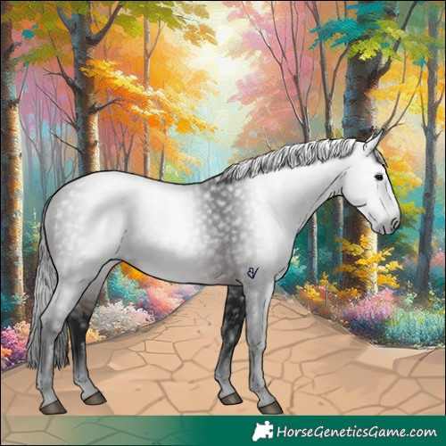 Horse Color:Gray Brown 