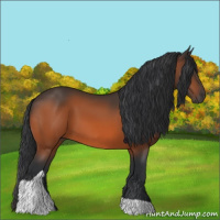 Horse Color:Bay Tobiano Rabicano 