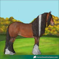 Horse Color:Bay Tobiano Rabicano 