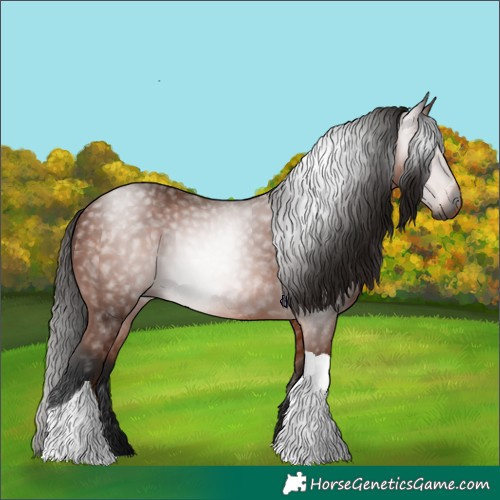 Horse Color:Gray Bay Tobiano Rabicano 