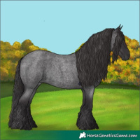 Horse Color:Smoky Blue Roan 
