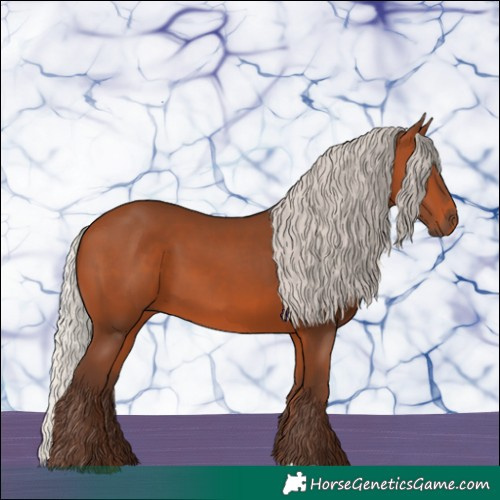 Horse Color:Silver Bay 