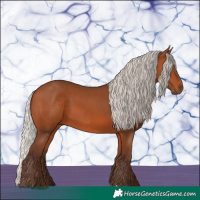 Horse Color:Silver Bay 