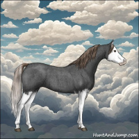 Horse Color:Liver Red Roan Splash 