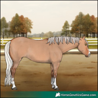 Horse Color:Silver Bay Dun Sabino Rabicano 
