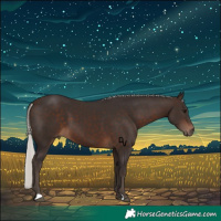 Horse Color:Silver Brown 