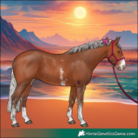 Horse Color:Silver Bay Sabino Rabicano 