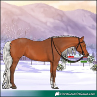 Horse Color:Silver Bay Sabino Rabicano