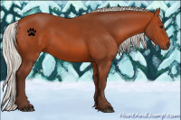 Horse Color:Silver Bay 