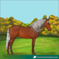 Horse Color:Silver Bay 