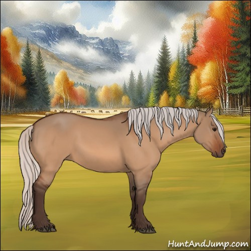 Horse Color:Silver Bay Dun 
