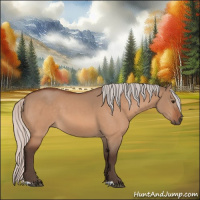 Horse Color:Silver Bay Dun 