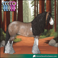 Horse Color:Brown Dun Sabino Rabicano