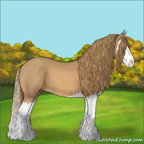 Horse Color:Red Roan Splash 