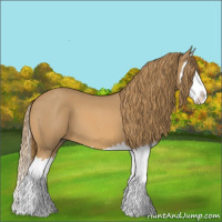 Horse Color:Red Roan Splash 