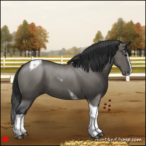Horse Color:Grullo Splash Tobiano
