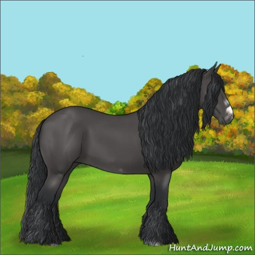 Horse Color:Black Frame 