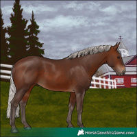 Horse Color:Silver Brown 