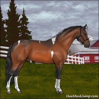 Horse Color:Brown Tobiano 