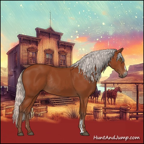 Horse Color:Silver Bay Sabino Rabicano 