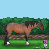 Horse Color:Bay Roan Tobiano