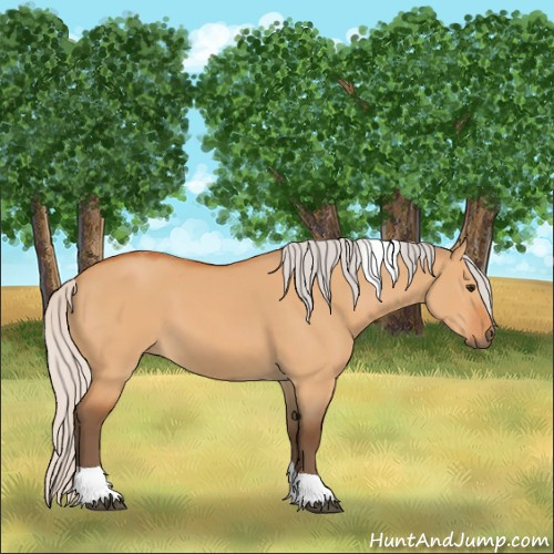 Horse Color:Silver Bay Dun Tobiano 