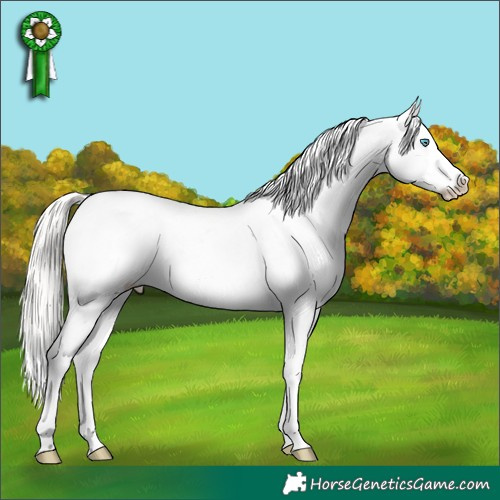 Horse Color:White Spotted Silver Classic Cream Champagne Pearl Dun Appaloosa Rabicano 