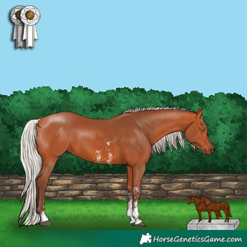 Horse Color:Silver Bay Sabino Rabicano 