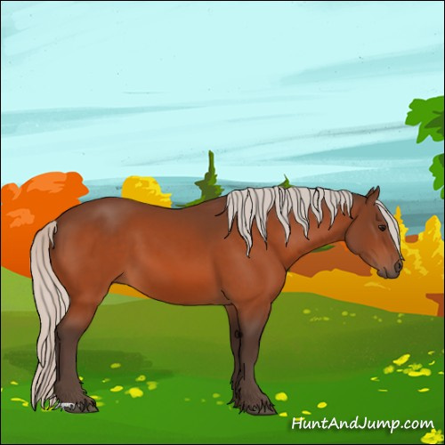 Horse Color:Silver Bay 