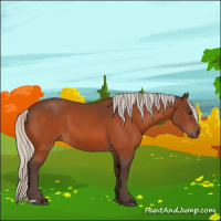 Horse Color:Silver Bay 