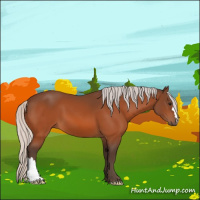 Horse Color:Silver Bay 