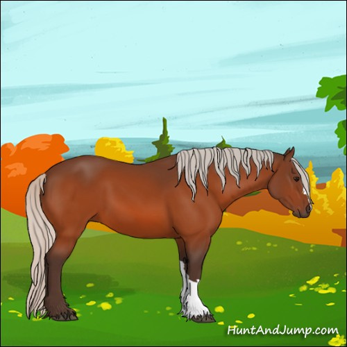 Horse Color:Silver Bay 