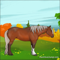 Horse Color:Silver Bay 