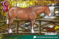 Horse Color:Silver Bay Sabino Rabicano 
