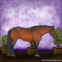 Horse Color:Brown 
