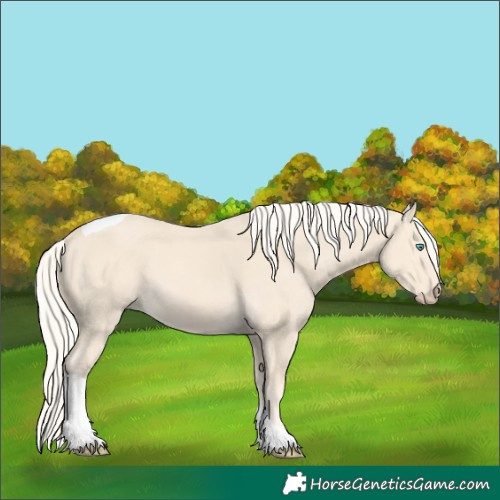 Horse Color:Cremello Tobiano