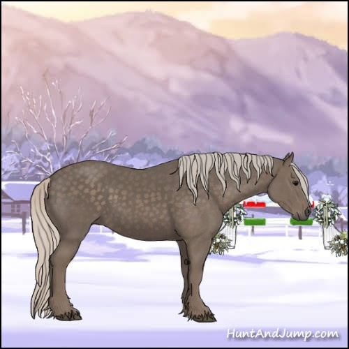 Horse Color:Silver Black 