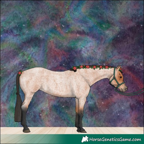 Horse Color:Bay Roan 