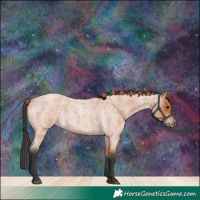 Horse Color:Bay Roan 