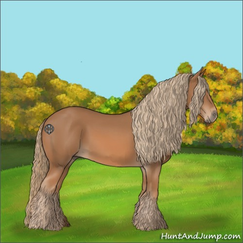 Horse Color:Chestnut 