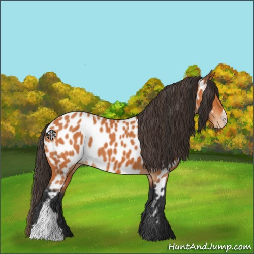 Horse Color:Bay Near Leopard