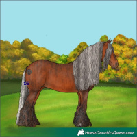 Horse Color:Bay  and Silver Bay 
