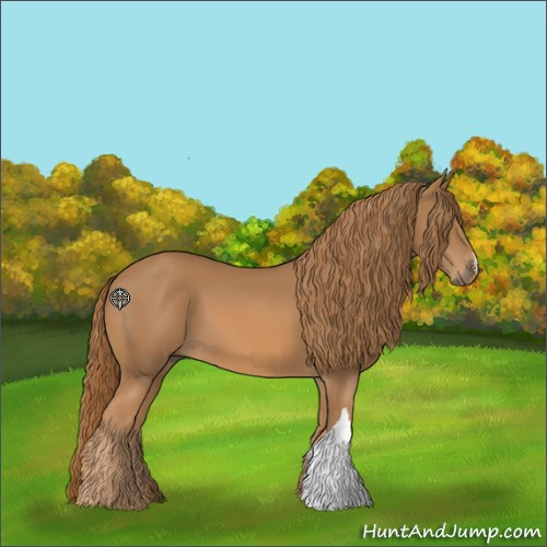 Horse Color:Chestnut 
