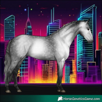 Horse Color:Gray Black 