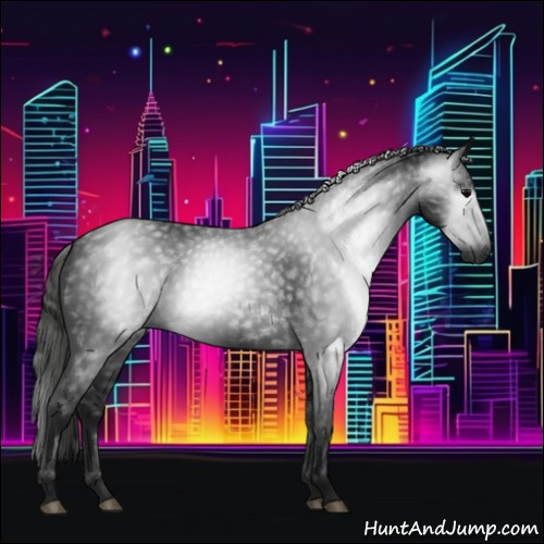Horse Color:Gray Black 