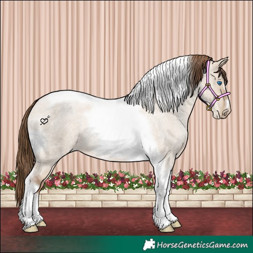Horse Color:Liver Red Dun Roan Pearl Tobiano Frame 