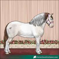 Horse Color:Liver Red Dun Roan Pearl Tobiano Frame 